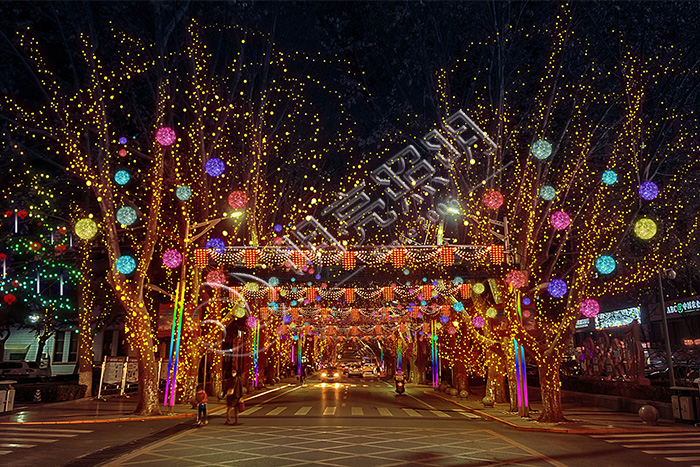 樹木彩燈亮化